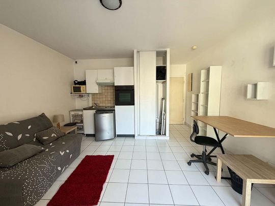 STUDIO MEUBLE - JARDINS DES ALYSCAMPS, - Photo 1