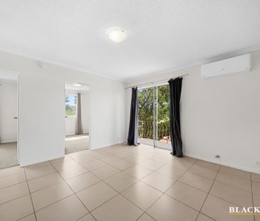 2/17 Campbell Street, Queanbeyan NSW 2620 - Apartment For Rent | Do... - Photo 1