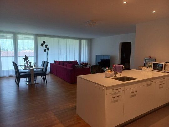 APPARTEMENT DE 3 PIÈCES À ALPNACHSTAD (OW), MEUBLÉ, TEMPORAIRE - Photo 1