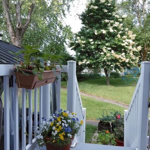 8 1/2 - Québec - 2 595 $/mois - Photo 2