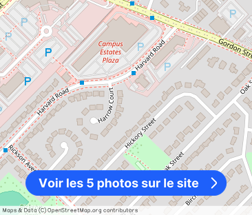 6 Harrow Ct, Guelph - Photo 1