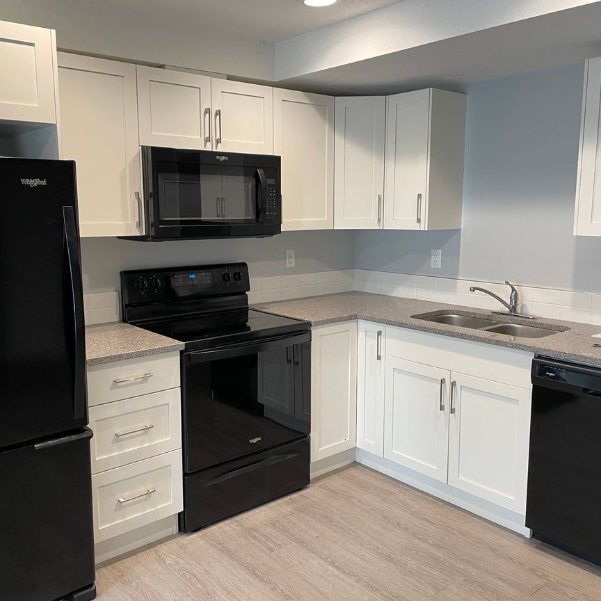 1 bed Small Pet Friendly Apt in Sylvan Lake! Insuite Laundry! - Photo 1