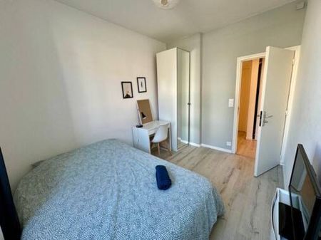 Colocation meublée île de Nantes - Photo 3