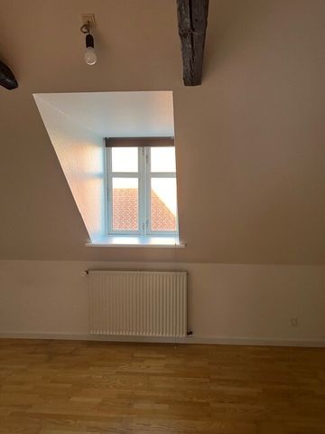 Frederiksgade 24B ST 7800 Skive - Photo 2