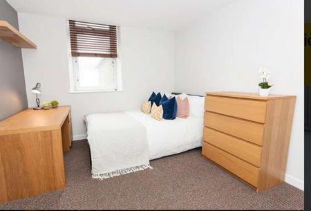 Bedford Street, Roath, CF24 - Photo 3