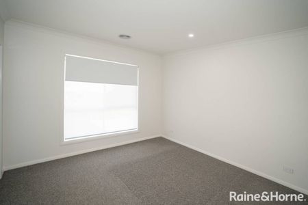 Jump into Jumbuck - Photo 4