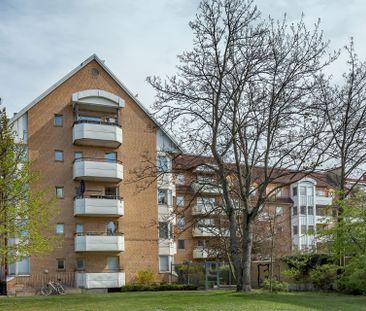 Högamöllegatan, Malmö - Photo 2