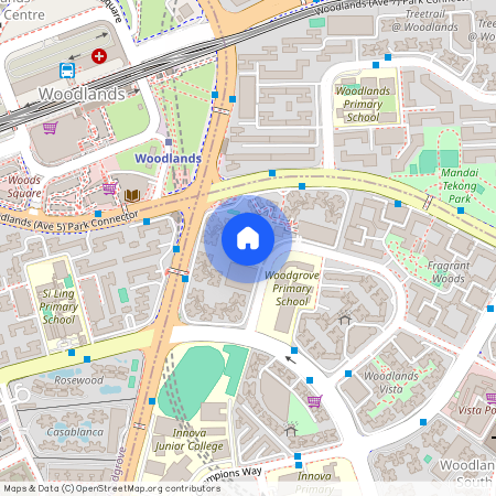 513 Woodlands Drive 14 (730513), Singapore