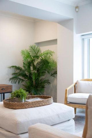 Central New Plymouth Apartment - Photo 3