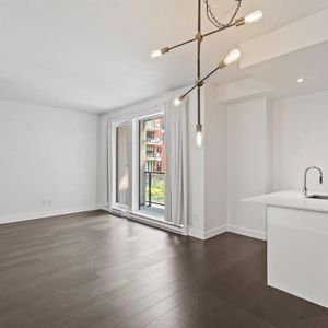 1 Bedroom Semi-Closed - 400 Rue Richmond, Montréal - Photo 3