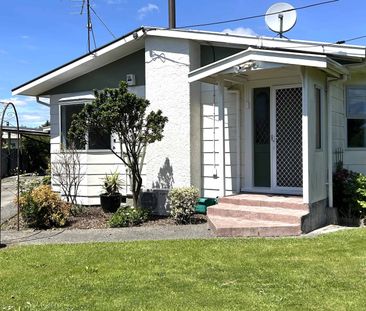 Freshly Renovated - Photo 5