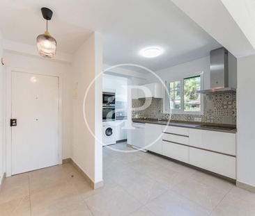 Apartment for rent in Palmanova - Photo 6