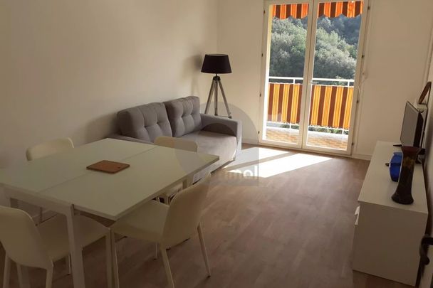 3 PIECES HAUT BORRIGO AVEC PARKING - Photo 1