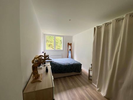 Location appartement rénové 3 pièces 55.97 m² à Vienne (38200) 6 - Photo 4