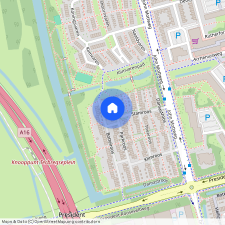 Parkroos, 15, Rotterdam