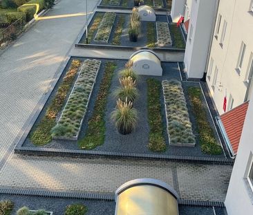 Przecław, 6pok., 2 piwnice, balkon - Photo 5