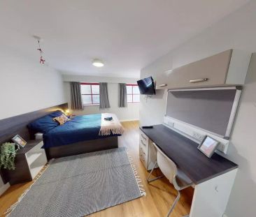 Deluxe Studio - Photo 3