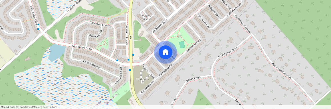 312 Lipizzaner Street, Stittsville - Munster - Richmond