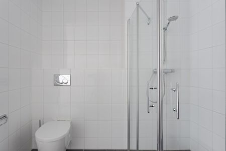 F Dietrich Kahlenbergstr 42A, 1087LL Amsterdam - Foto 5