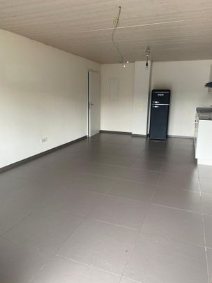 2 Zimmer, 55 m², EG - Foto 1