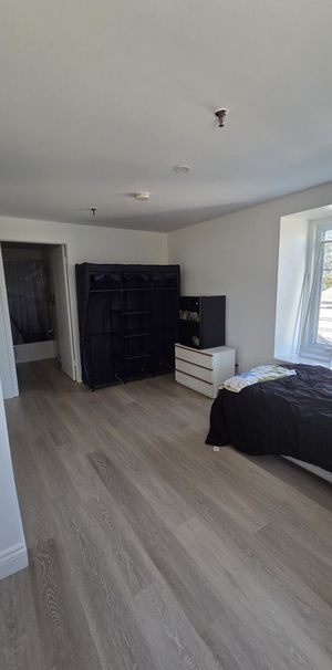 Studios à Louer 1440 Rue Des Pionniers - Photo 1
