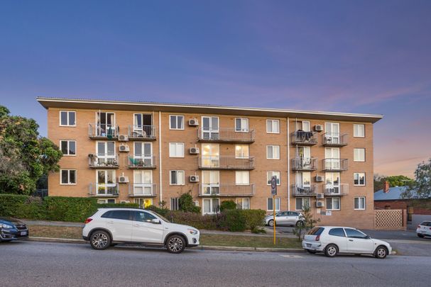 23/59 Walcott Street, Mount Lawley WA 6050 - Apartment For Rent | Domain - Photo 1