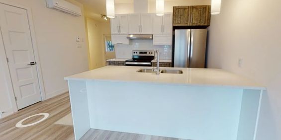 10 Rue Marjorie-D.-Shackleton (PLATEAU) TOUT INCLUS - Logement 2 Chambres - Photo 3