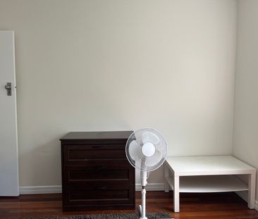 Paddington - Photo 4