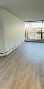 Pet Friendly 1BR/1BA in Burnaby. Spacious, Near SFU, Skytrain, Mall - Photo 3