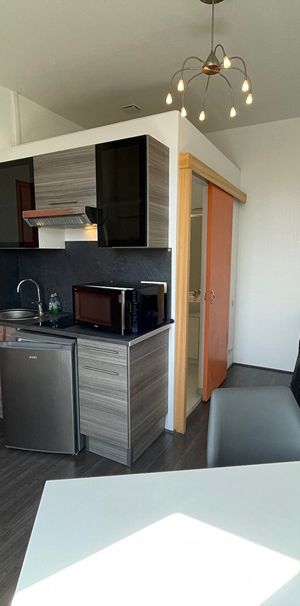 Location Appartement 1 pièce 18m² - Photo 1
