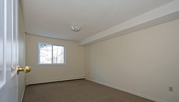 50 Barkton Lane - Photo 1