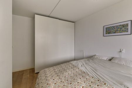 Te huur: Appartement Pontanusstraat in Amsterdam - Photo 2