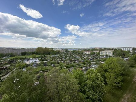 1-Raum-Erdgeschosswohnung nahe Zeisigwald - Photo 4