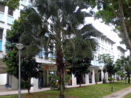 Blk 130 Geylang East Grove (Geylang), HDB 4 Rooms - For Rent - Photo 4