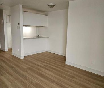 1 CH - 1 SDB - Montréal - $1,195 /mo - Photo 3