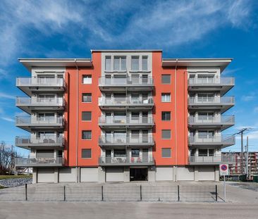 Zentrumsnahe 2 Zimmer-Wohnung - Foto 4