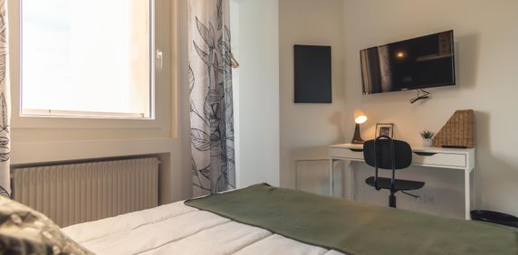 GRANDCLEMENT Roommate 4 Bedrooms at Villeurbanne - Photo 2
