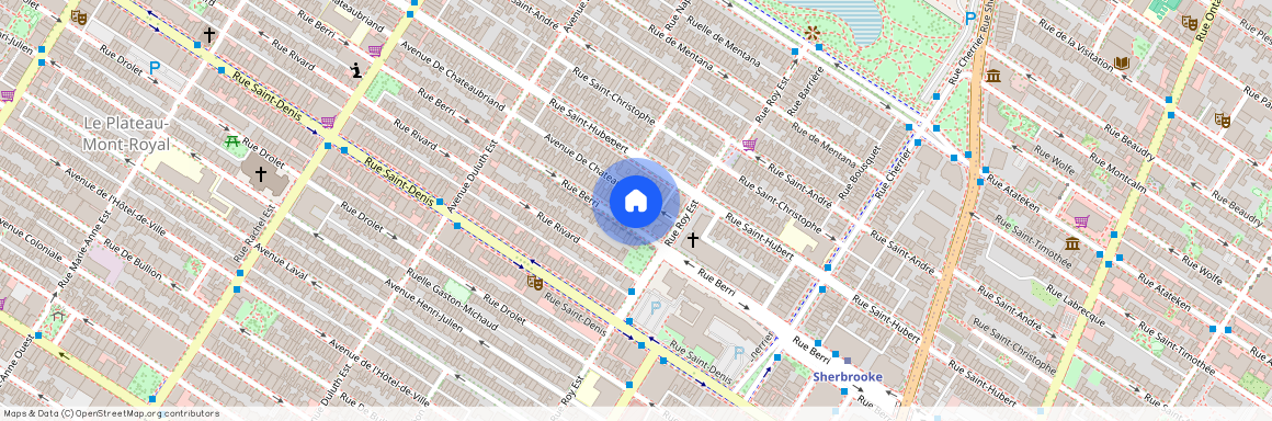 3845 Rue Berri, Plateau-Mont-Royal, Plateau-Mont-Royal, Ile de Montréal, H2W 2M1