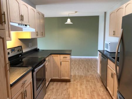 Lower Mission: Top Floor 2 bed, 2 bath – Jan.1st - Photo 4