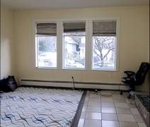 2 Bed 1 Bath spacious ground floor house - Photo 3