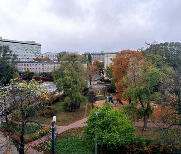 Wynajem! 3 pokoje! Dobra cena! - Photo 2