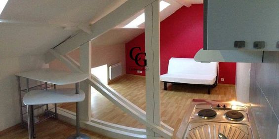 Location Appartement 1 pièce 17m² VERTOU 44120 - Photo 3