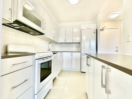 For Lease - 666 Spadina Avenue Unit# 509, Toronto, Ontario - Photo 4