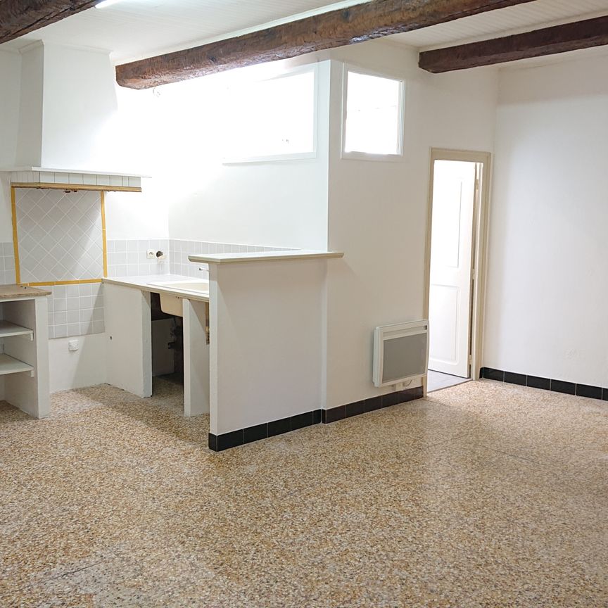 Location Maison 3 pièces 53m² LE POUGET 34230 - Photo 1