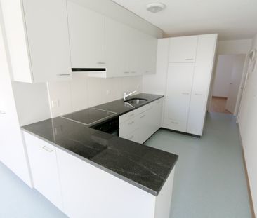 4.5 Zimmer, EG - Photo 2