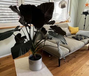 41/2 ROOM HOUSE IN SCHENKON (LU), FURNISHED, TEMPORARY - Photo 1