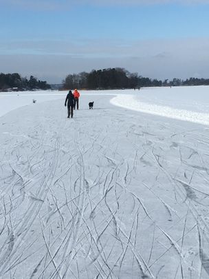 Täcka Udden, Lidingö - Photo 1