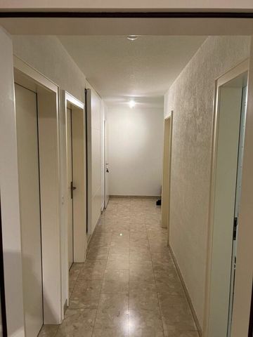 4.5 Zimmer-Wohnung am Zürichberg - Foto 4