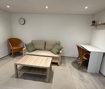 Appartement 1 pièce - Boucle de Besancon - Photo 5