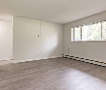 Renovated Suite - 1 Bedroom - Photo 6